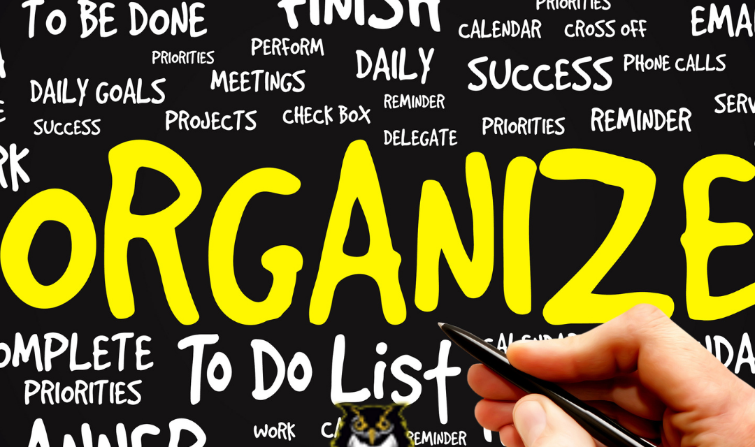 Owl Şirketi ( Firması ) Olarak Organizasyon Hizmetleri Kapsamında Neler Yapıyoruz?